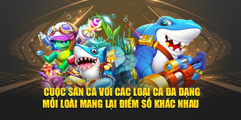  Cuộc săn cá với các loại cá đa dạng mỗi loài mang lại điểm số khác nhau