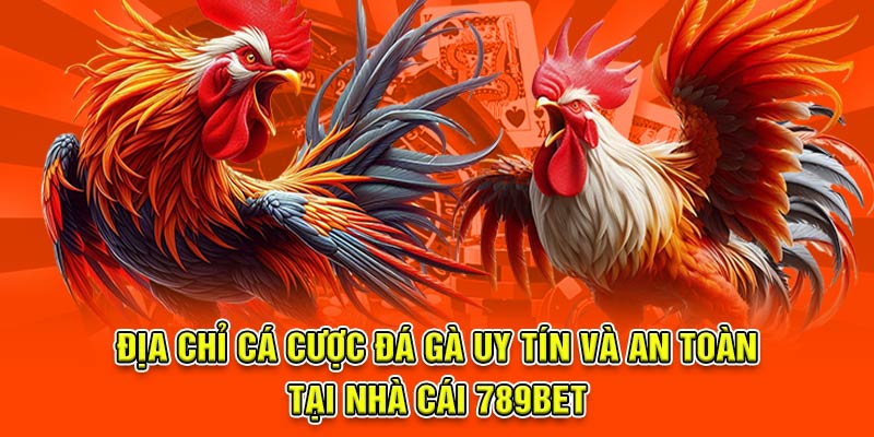 địa chỉ cá cược đá gà